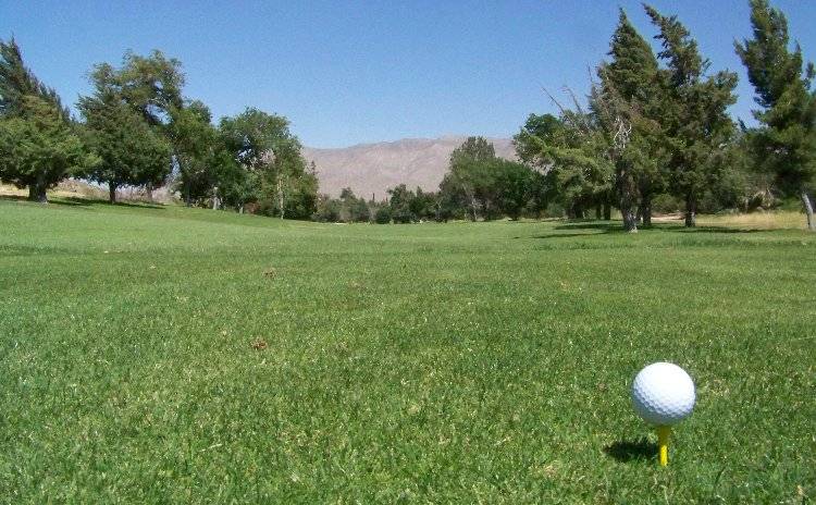 Legends | restaurant | 17970 Bangor Ave, Hesperia, CA 92345, USA | 7609562383 OR +1 760-956-2383