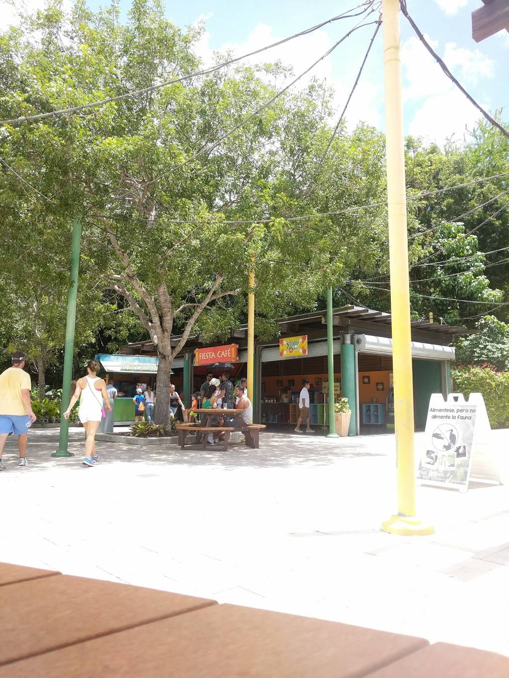 Fiesta Cafe | cafe | 12400 SW 152nd St, Miami, FL 33177, USA | 3052510400 OR +1 305-251-0400