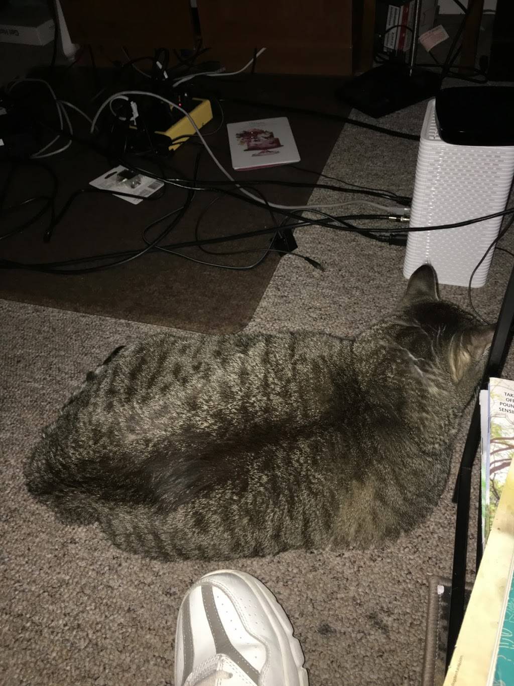 Mr.Sub | restaurant | 50 Rolling Hills Dr, Orangeville, ON L9W 4X9, Canada | 5193078946 OR +1 519-307-8946