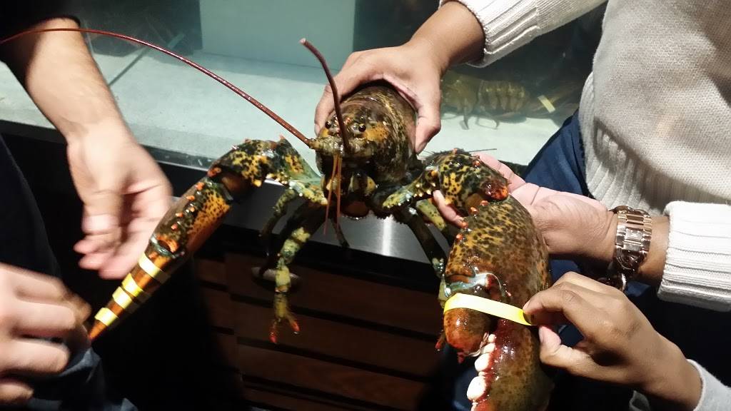 Red Lobster | restaurant | 14750 South La Grange Road, Orland Park, IL 60462, USA | 7084603313 OR +1 708-460-3313