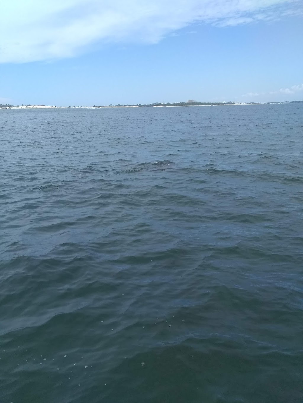 Sweet Southern Comfort | restaurant | 172 FL-20, Freeport, FL 32439, USA | 8508806645 OR +1 850-880-6645