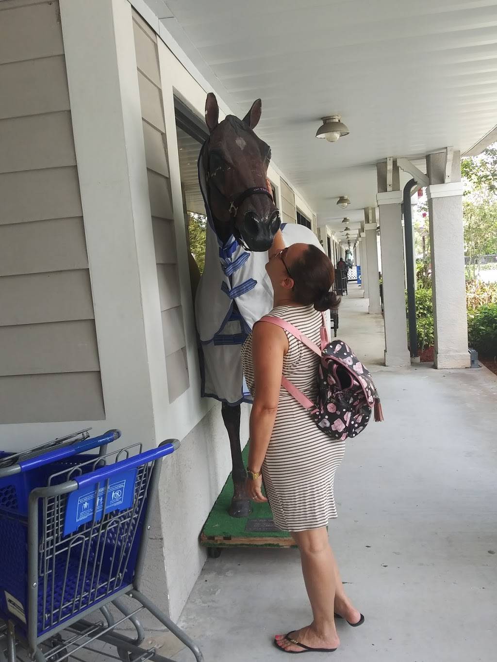 Dunkin | bakery | 13501 S Shore Blvd Unit 109, Wellington, FL 33414, USA | 5617662378 OR +1 561-766-2378