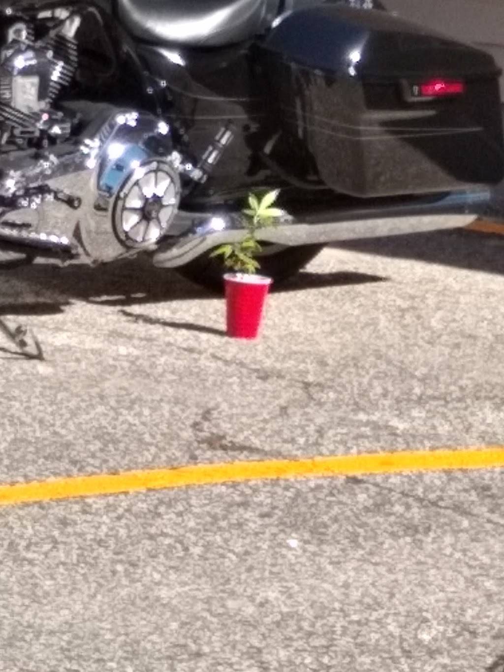 Jade Garden | restaurant | 675 Main St, Lewiston, ME 04240, USA | 2077831818 OR +1 207-783-1818