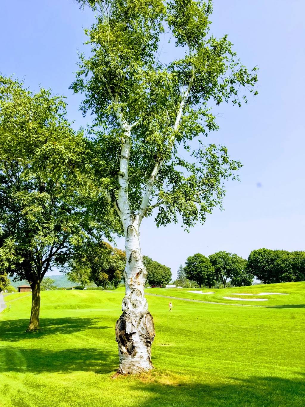 En-Joie Golf Course Restaurant | restaurant | 726 W Main St, Endicott, NY 13760, USA | 6077480515 OR +1 607-748-0515