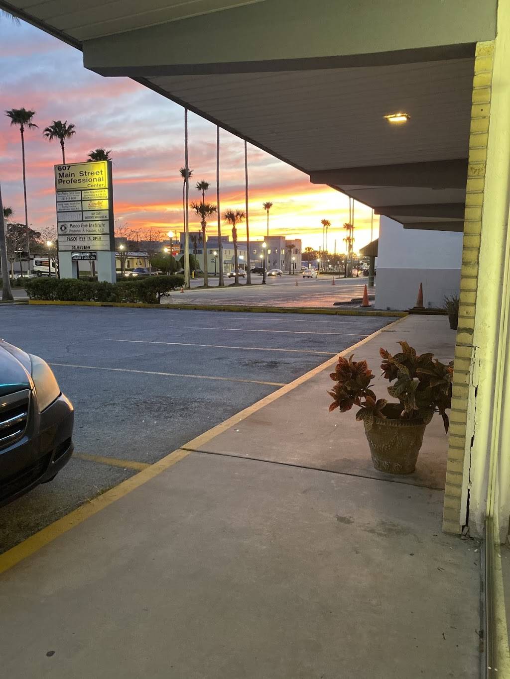 Downtown Nutrition | restaurant | 5407 Main St, New Port Richey, FL 34652, USA | 8139001090 OR +1 813-900-1090