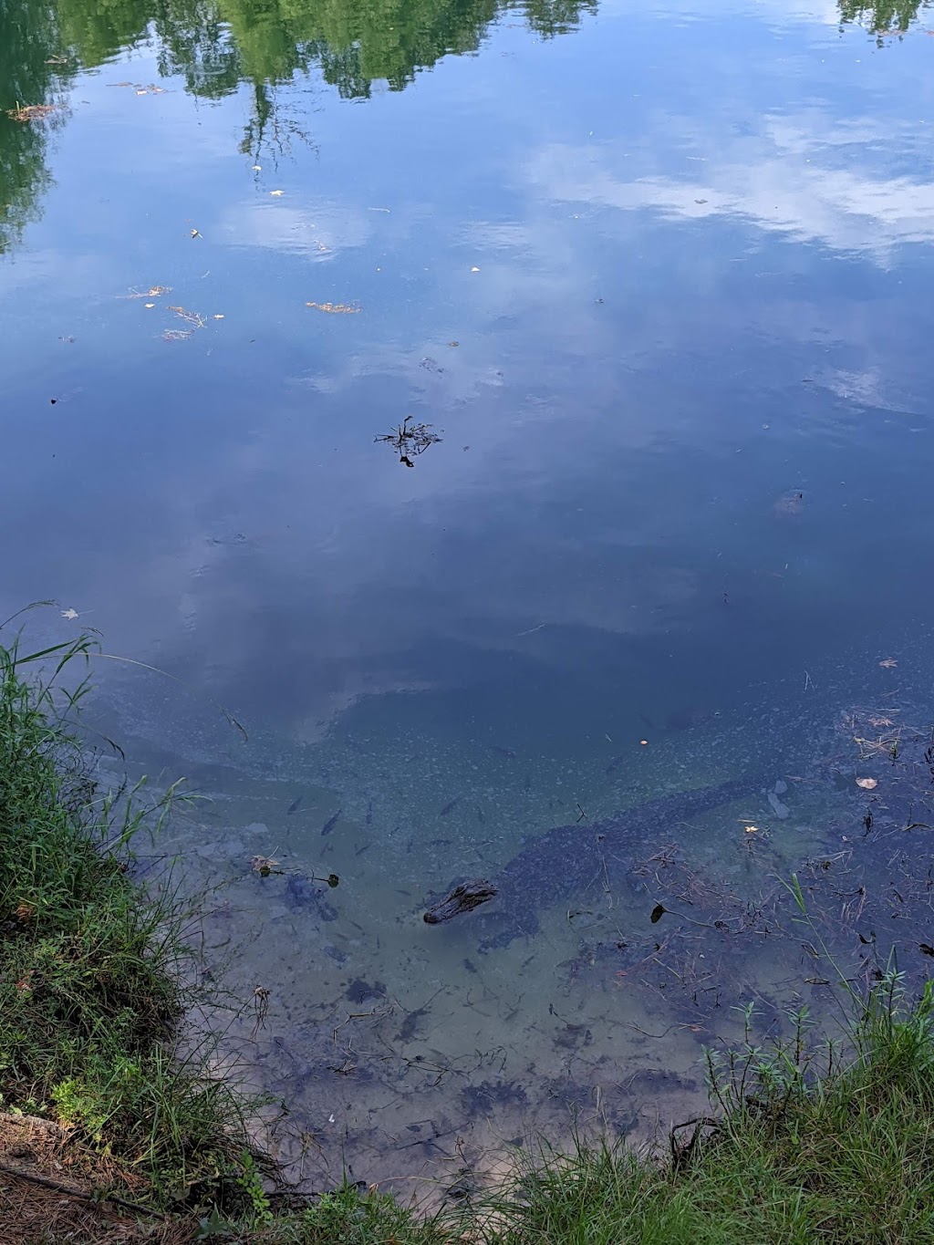 Backwoods Saloon | restaurant | 230 Lexington Ct, Conroe, TX 77385, USA | 9362730203 OR +1 936-273-0203