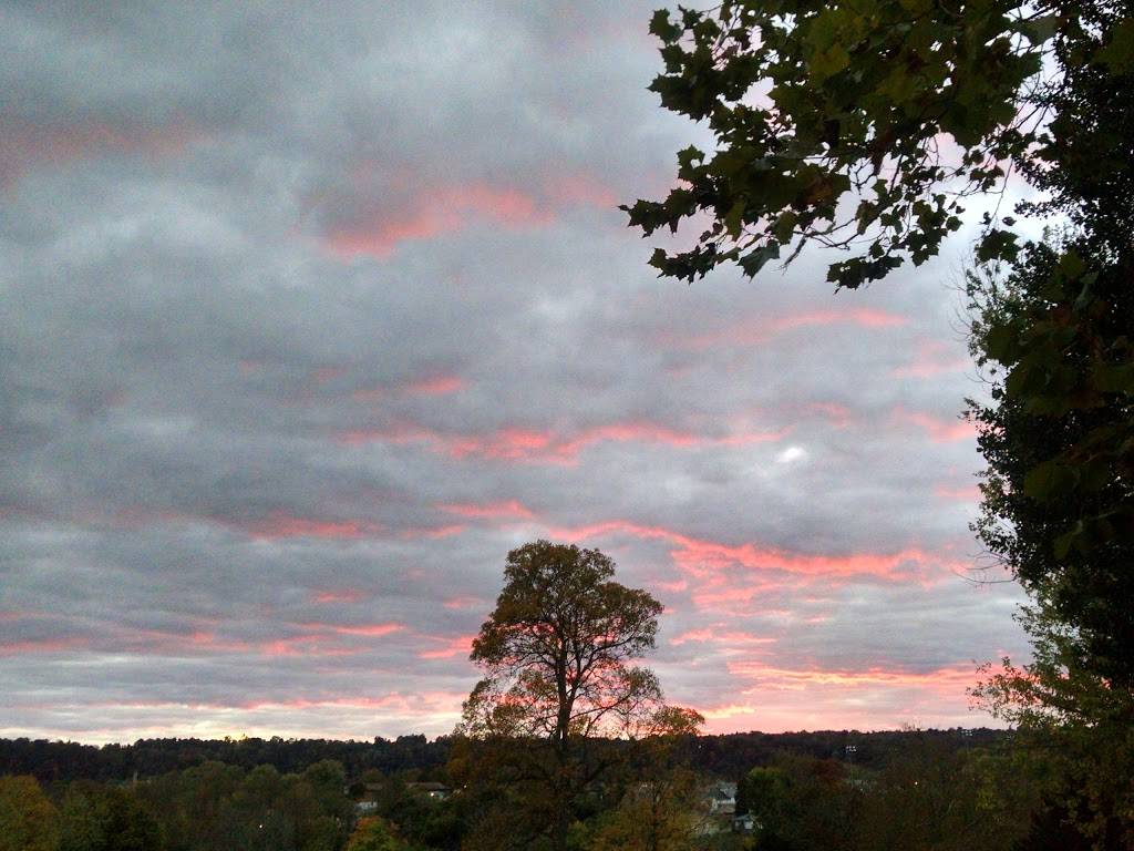 Penn Bistro LLC | restaurant | 615 Penn Ave, New Brighton, PA 15066, USA | 7248437366 OR +1 724-843-7366