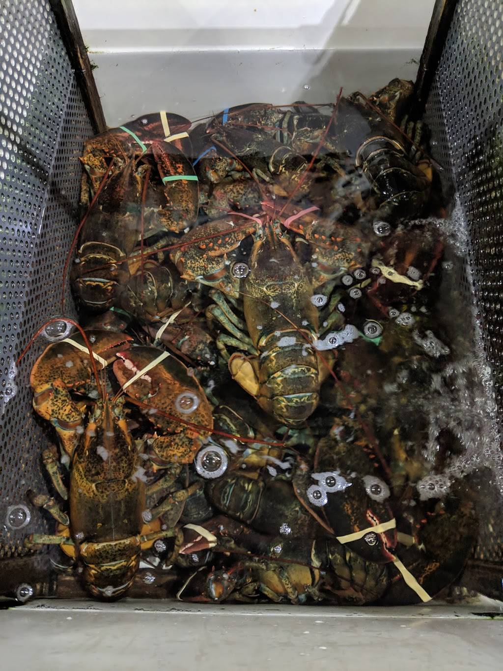 New England Lobster | restaurant | 824 Cowan Rd, Burlingame, CA 94010, USA | 6504431559 OR +1 650-443-1559