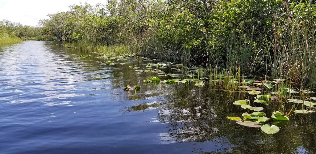 Gator Park | restaurant | 24050 SW 8th St, Miami, FL 33194, USA | 3055592255 OR +1 305-559-2255