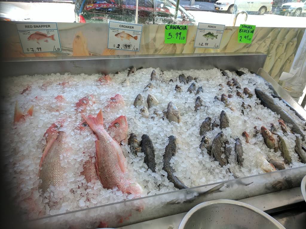 Fish Market | restaurant | 219 St Anns Ave, Bronx, NY 10454, USA | 7182923861 OR +1 718-292-3861