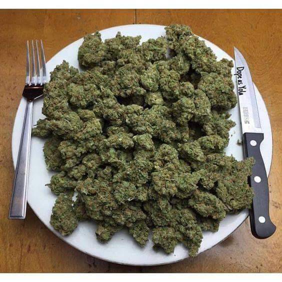 Wendys | restaurant | 914 2nd St, St Marys, WV 26170, USA | 3046842609 OR +1 304-684-2609