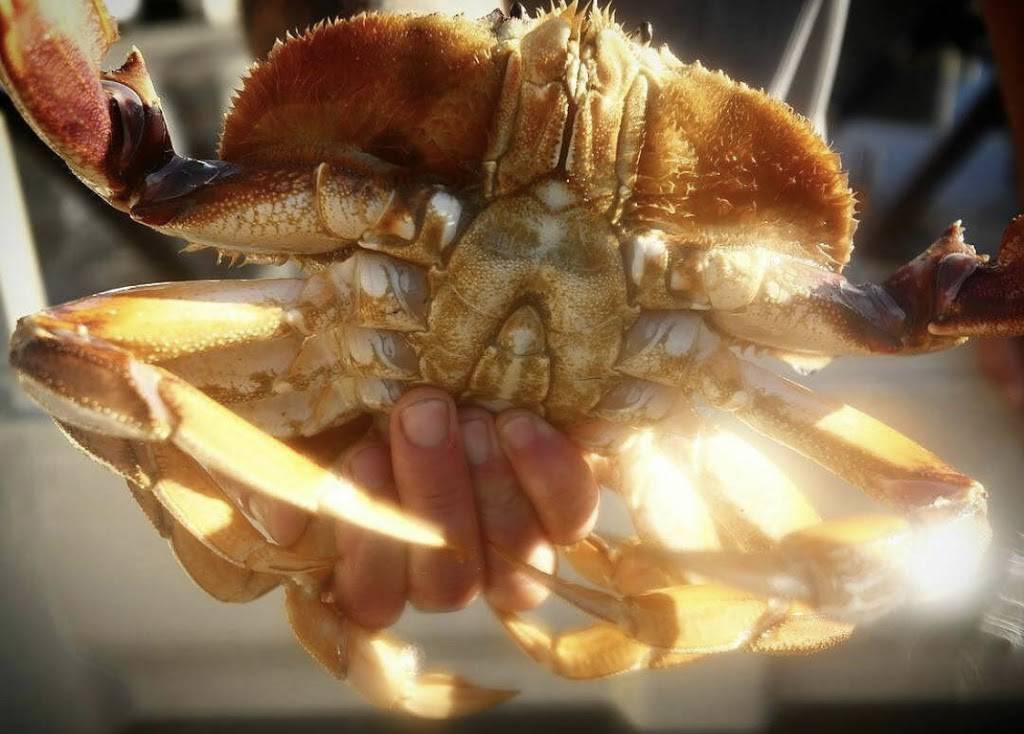 H & H Fresh Fish | restaurant | 493 Lake Ave A, Santa Cruz, CA 95062, USA | 8314623474 OR +1 831-462-3474