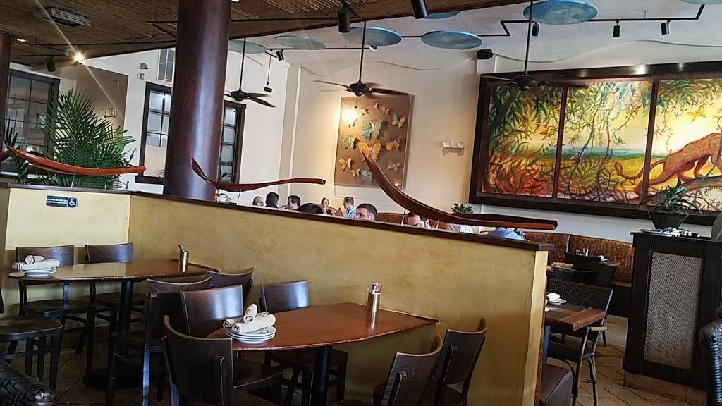 Jaguar Latin-American Kitchen | restaurant | 3067 Grand Ave, Miami, FL 33133, USA | 3054440216 OR +1 305-444-0216