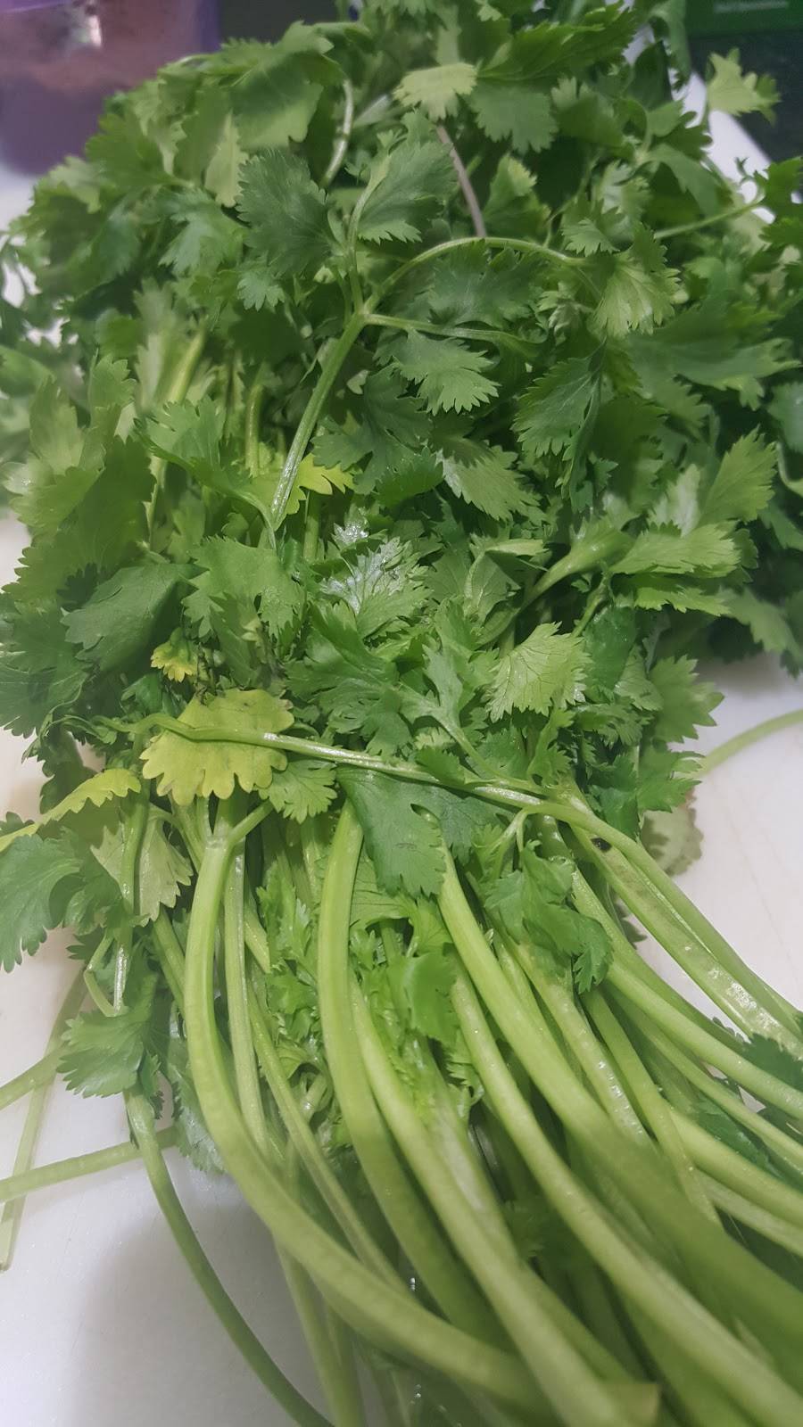 Garden Diva Hummus | restaurant | 1940 N 30th Rd #303, Hollywood, FL 33021, USA | 9549145856 OR +1 954-914-5856