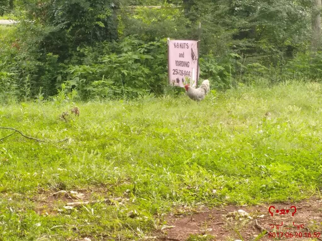 Subway | restaurant | 671 Martin Rd SW, Huntsville, AL 35824, USA | 2564647299 OR +1 256-464-7299