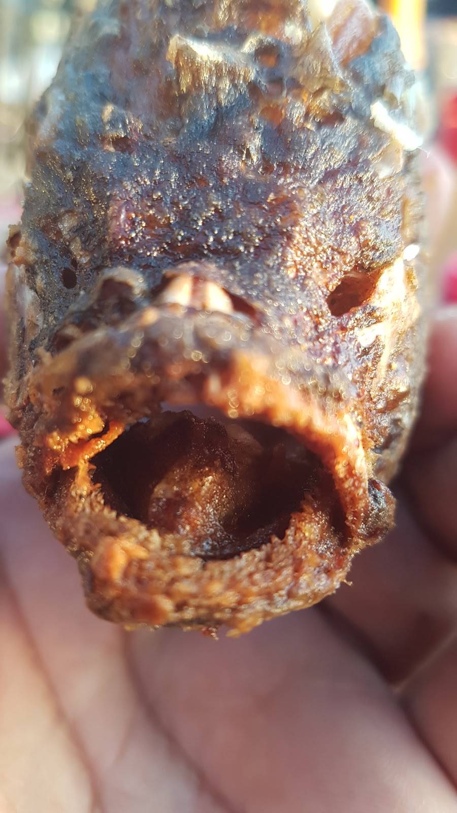 Mariscos Becerras | restaurant | Av Del Pacifico 743, Playas, Monumental, 22504 Tijuana, B.C., Mexico | 016643481767 OR +52 664 348 1767