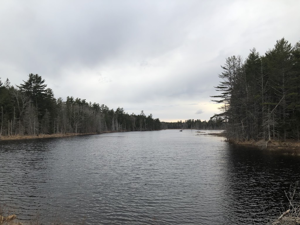 King China chinese Restaurant | restaurant | 180 North St, Calais, ME 04619, USA | 2074541111 OR +1 207-454-1111