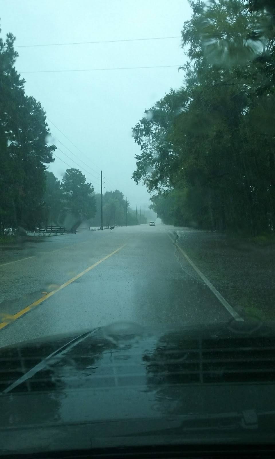 Piney Woods Mart | restaurant | 11845 Calvary Rd, Willis, TX 77318, USA | 9367014090 OR +1 936-701-4090