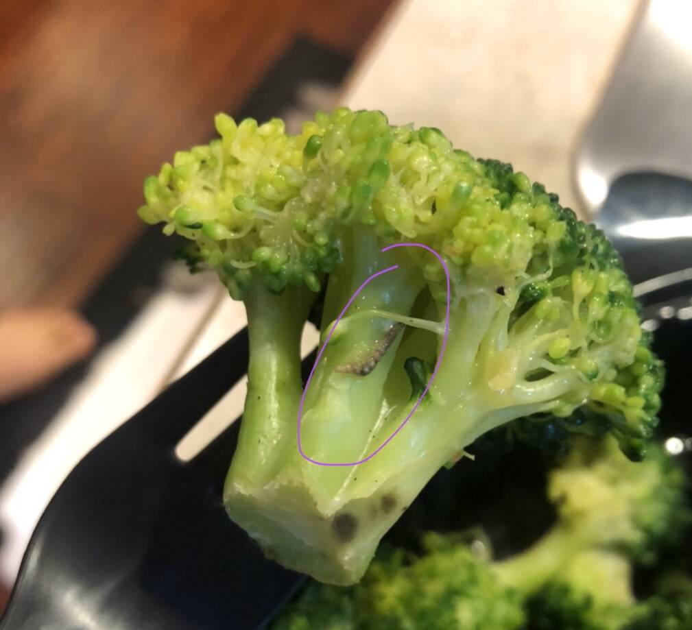 Red Lobster | restaurant | 203 Three Rivers Dr, Kelso, WA 98626, USA | 3604148118 OR +1 360-414-8118