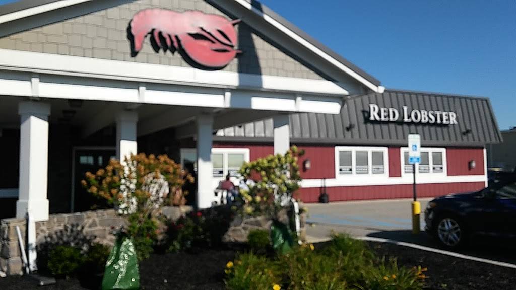 Red Lobster | restaurant | 1900 S Reed Rd, Kokomo, IN 46902, USA | 7654563831 OR +1 765-456-3831