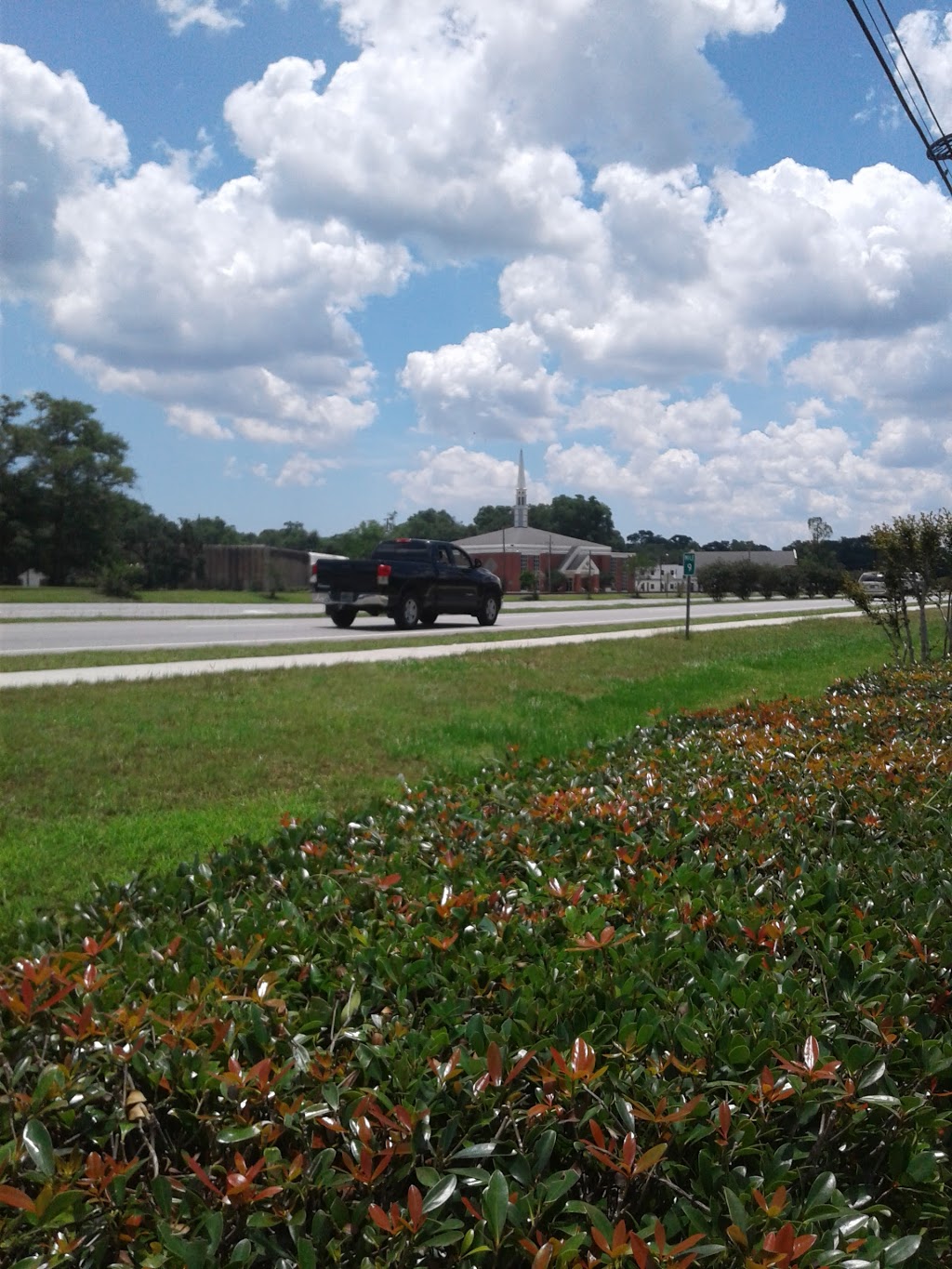 Bay City Grill | restaurant | 5675 US-43, Satsuma, AL 36572, USA | 2516750360 OR +1 251-675-0360