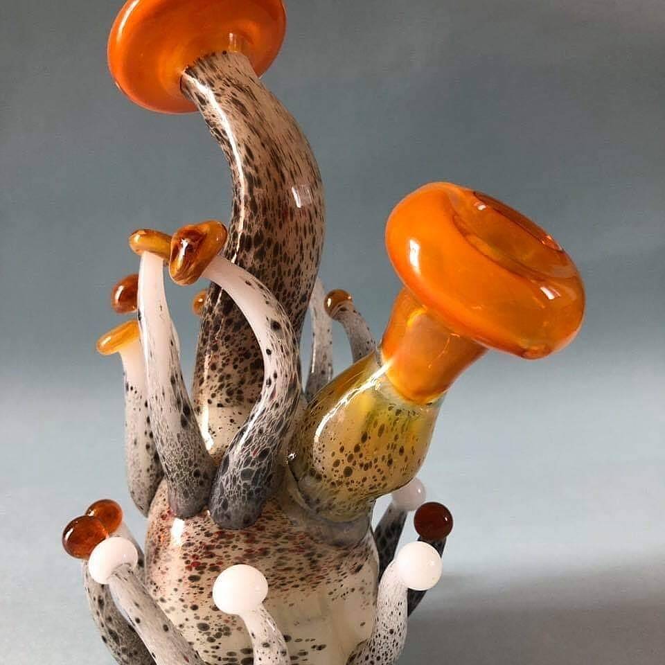 Chicos Restaurant | restaurant | 4070 W 12th Ave, Hialeah, FL 33012, USA | 3055568907 OR +1 305-556-8907