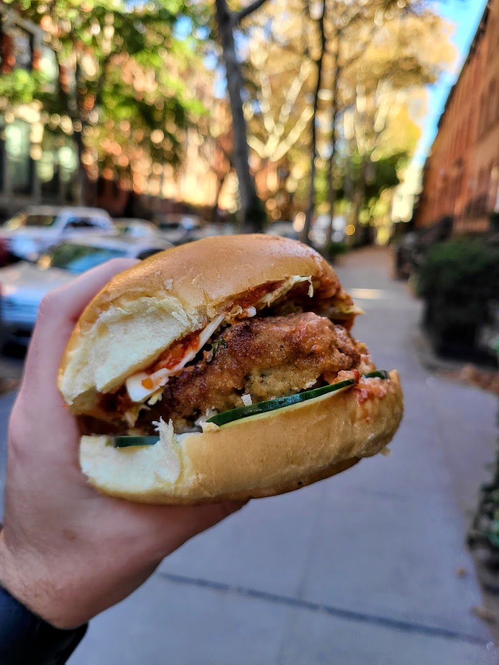 Psychedelicatessen Sandwich Shop | restaurant | 421 Court St, Brooklyn, NY 11231, USA | 7182431650 OR +1 718-243-1650