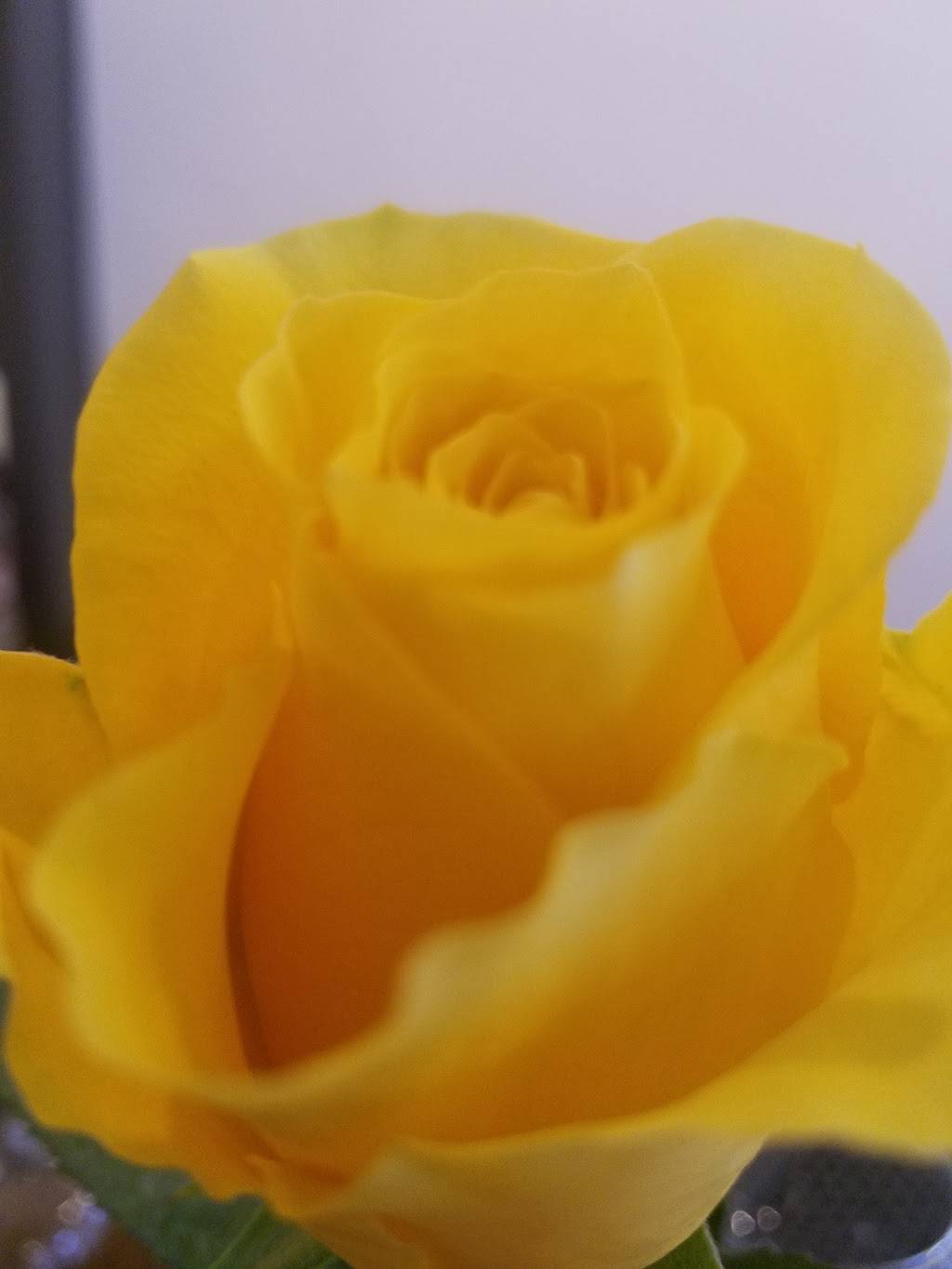 The Confident Rabbit | restaurant | 309 William St, Fredericksburg, VA 22401, USA | 5403719999 OR +1 540-371-9999