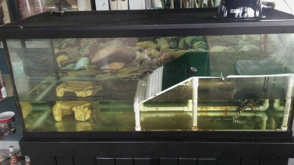 Tiki Island Tap House | restaurant | 614 Pecan Park Rd, Jacksonville, FL 32218, USA | 9044030776 OR +1 904-403-0776