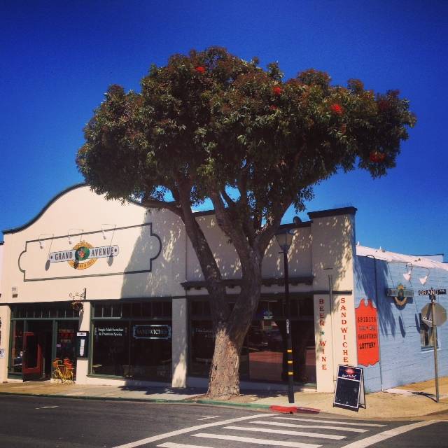 Everest Liquors & Deli | restaurant | 229 Grand Ave, Pacific Grove, CA 93950, USA | 8313757474 OR +1 831-375-7474