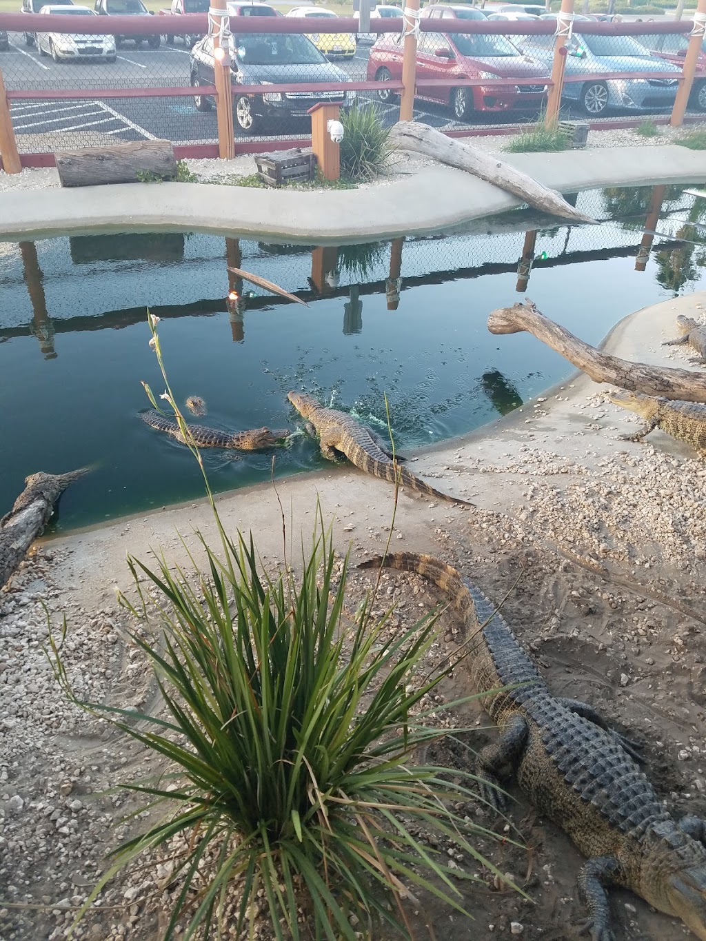 The Copper Pig Bbq | restaurant | 704 Mall Blvd, Brunswick, GA 31525, USA | 9122899879 OR +1 912-289-9879