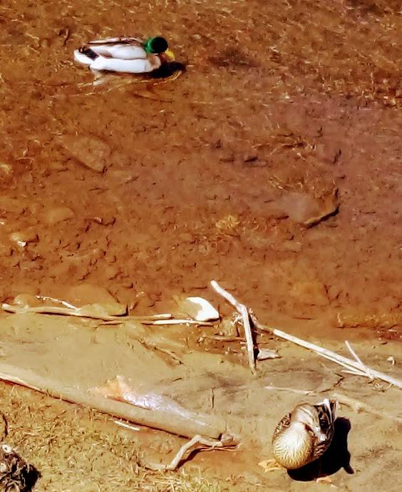 Giovannis Pizza | restaurant | 2003 2nd St, Richlands, VA 24641, USA | 2769630166 OR +1 276-963-0166