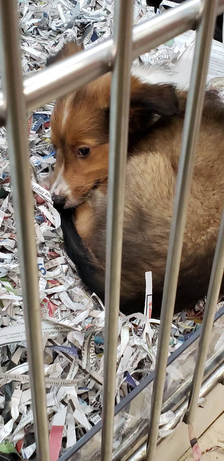 Booths Corner Farmers Market | restaurant | 1362 Naamans Creek Rd, Garnet Valley, PA 19060, USA | 6104850775 OR +1 610-485-0775