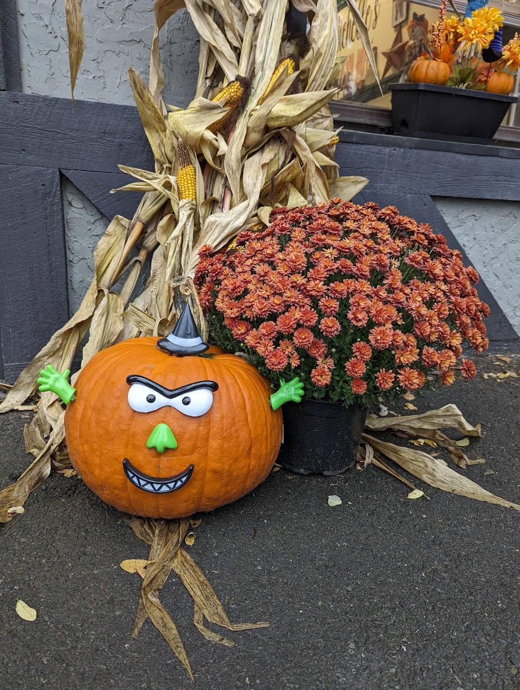 Michelle’s Hungry Hut | restaurant | 515 James Monroe Ave, Monroe, PA 18832, USA | 5702500088 OR +1 570-250-0088