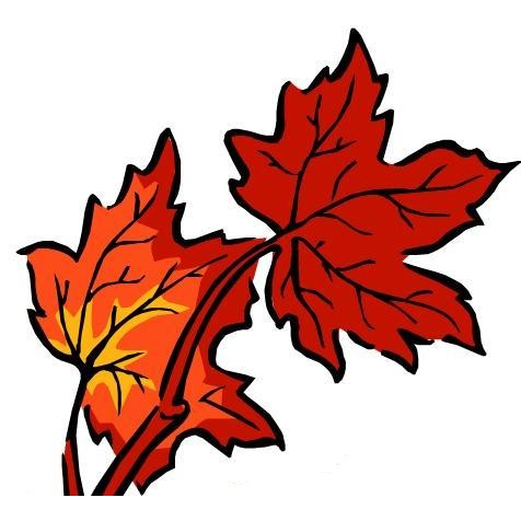 La Coulérable | restaurant | 214 Chemin Lomer, Neuville, QC G0A 2R0, Canada | 4188763167 OR +1 418-876-3167