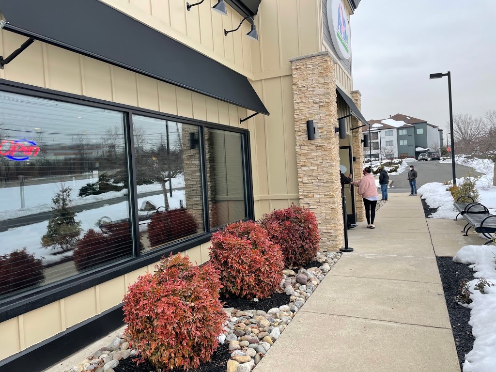 A2B Indian Veg Restaurant | restaurant | 3817 US-1, Princeton, NJ 08540, USA | 9739395565 OR +1 973-939-5565