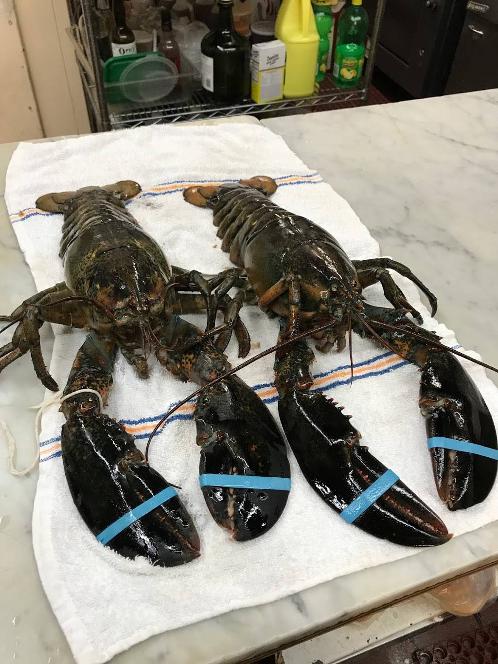 Larchmont Meateria | The Marketplace | restaurant | 9 Addison St, Larchmont, NY 10538, USA | 9148330508 OR +1 914-833-0508