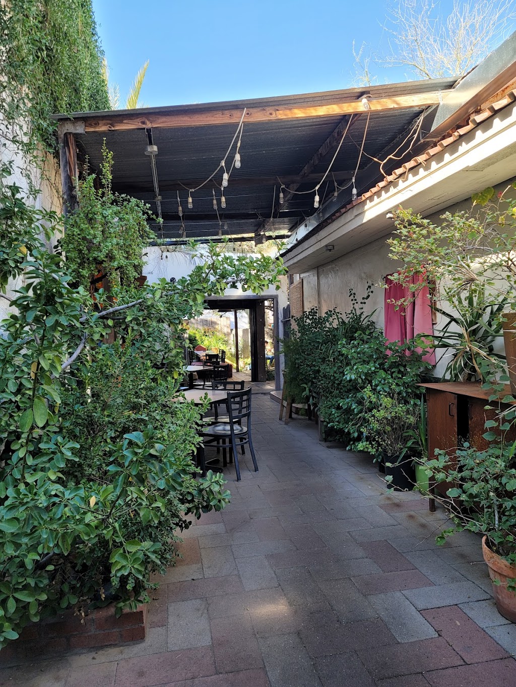 Cafe Passe | cafe | 415 N 4th Ave, Tucson, AZ 85705, USA | 5206244411 OR +1 520-624-4411