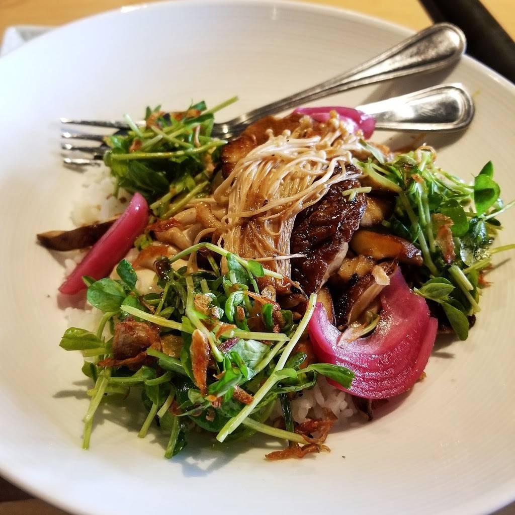 Nippon Tei | restaurant | 14025 Manchester Rd, Ballwin, MO 63011, USA | 6363868999 OR +1 636-386-8999