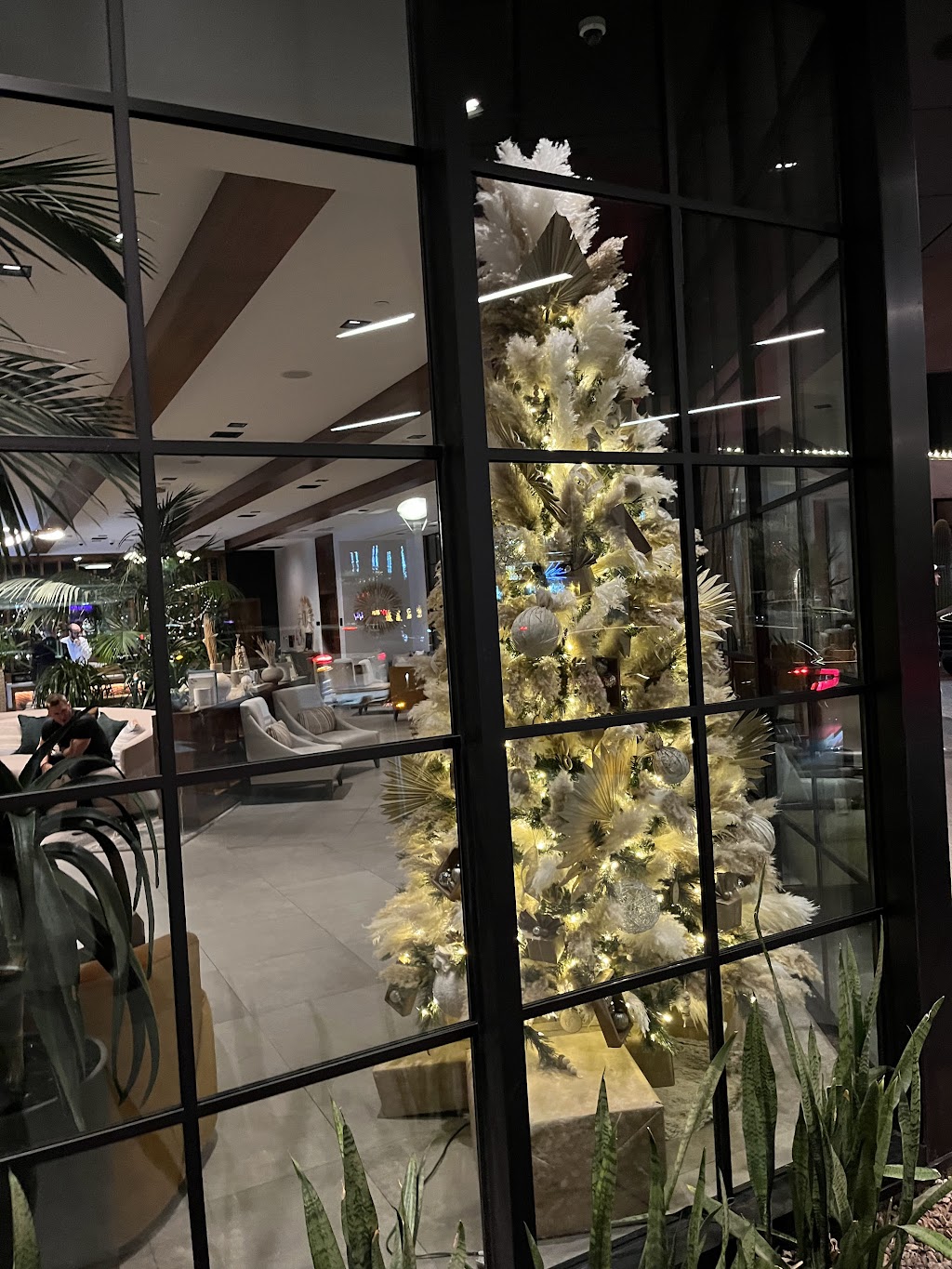 CALA Scottsdale | restaurant | 7501 E Camelback Rd, Scottsdale, AZ 85251, USA | 4805905676 OR +1 480-590-5676