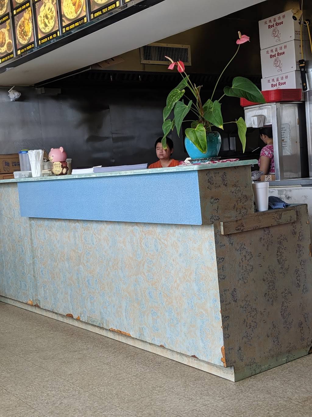 China King | meal takeaway | 124 1st St NW, La Fayette, AL 36862, USA | 3348640005 OR +1 334-864-0005