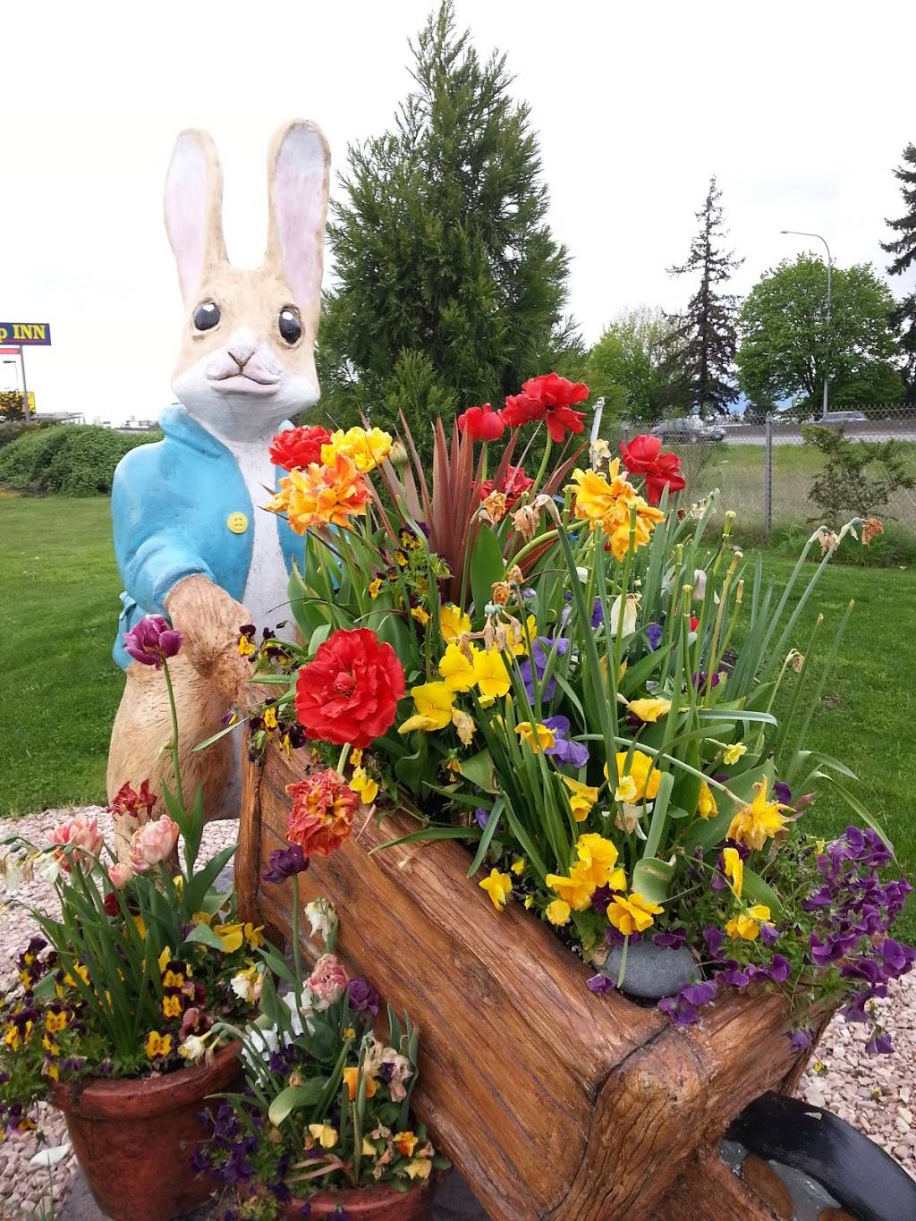 Burgermaster | restaurant | 2030 Freeway Dr, Mt Vernon, WA 98273, USA | 3608994075 OR +1 360-899-4075