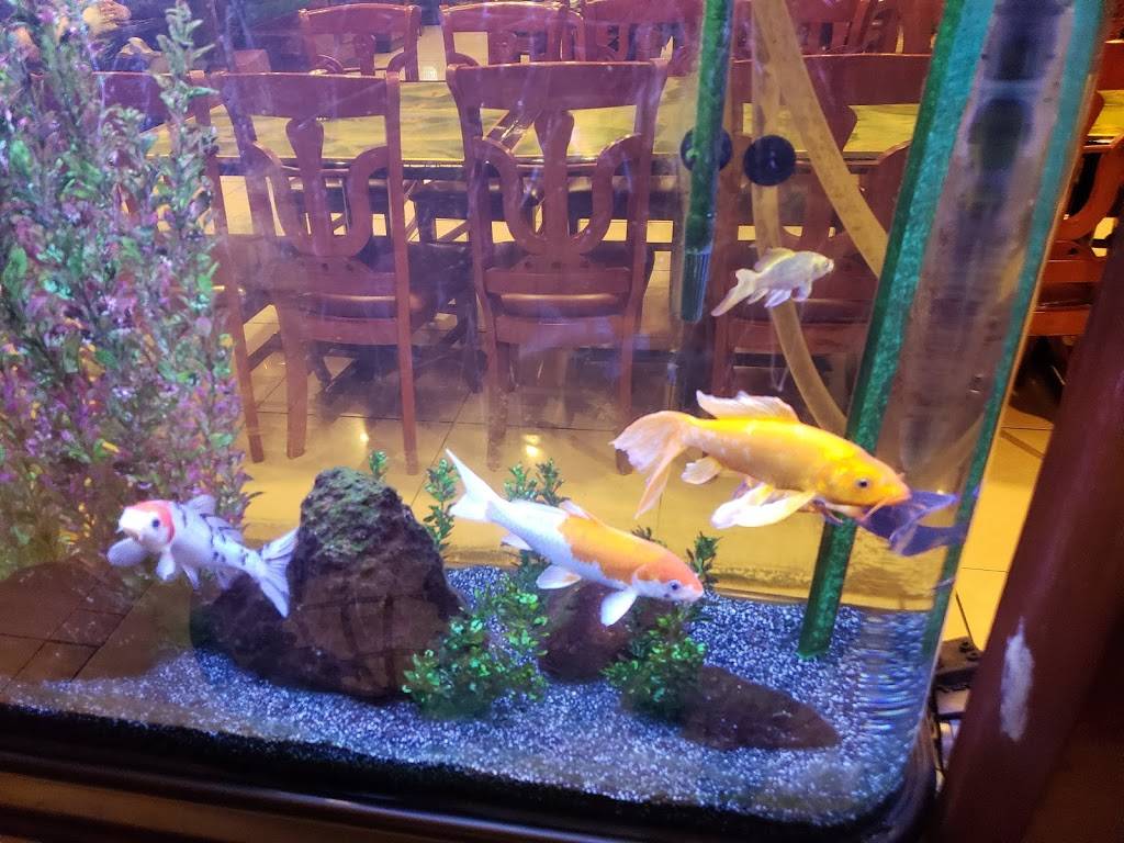 China Panda Restaurant | restaurant | 272 E Hwy 246, Buellton, CA 93427, USA | 8056881291 OR +1 805-688-1291