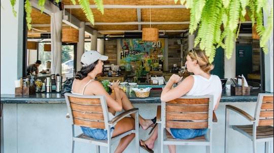 Lowlife Bar | restaurant | 106 E Hudson Ave, Folly Beach, SC 29439, USA | 8436330460 OR +1 843-633-0460