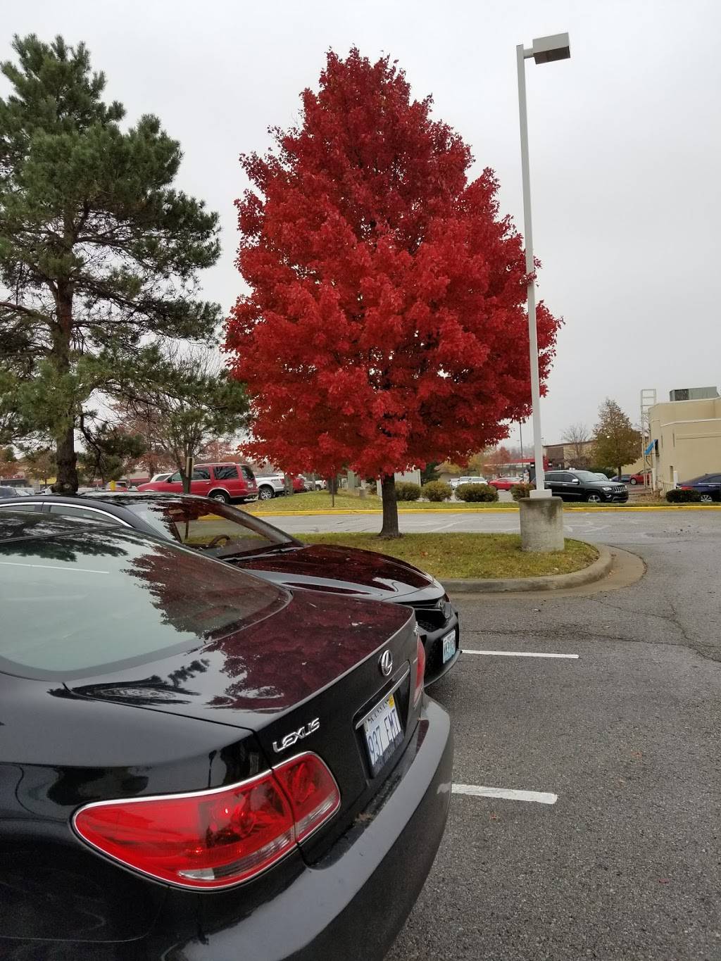 Panda Express | restaurant | 11996 S Strang Line Rd, Olathe, KS 66062, USA | 9133908360 OR +1 913-390-8360