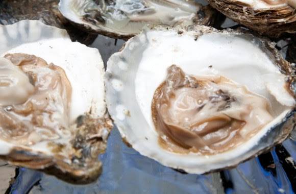 D D Denotta Seafood Company | restaurant | 17321 WA-106, Belfair, WA 98528, USA | 3605522085 OR +1 360-552-2085