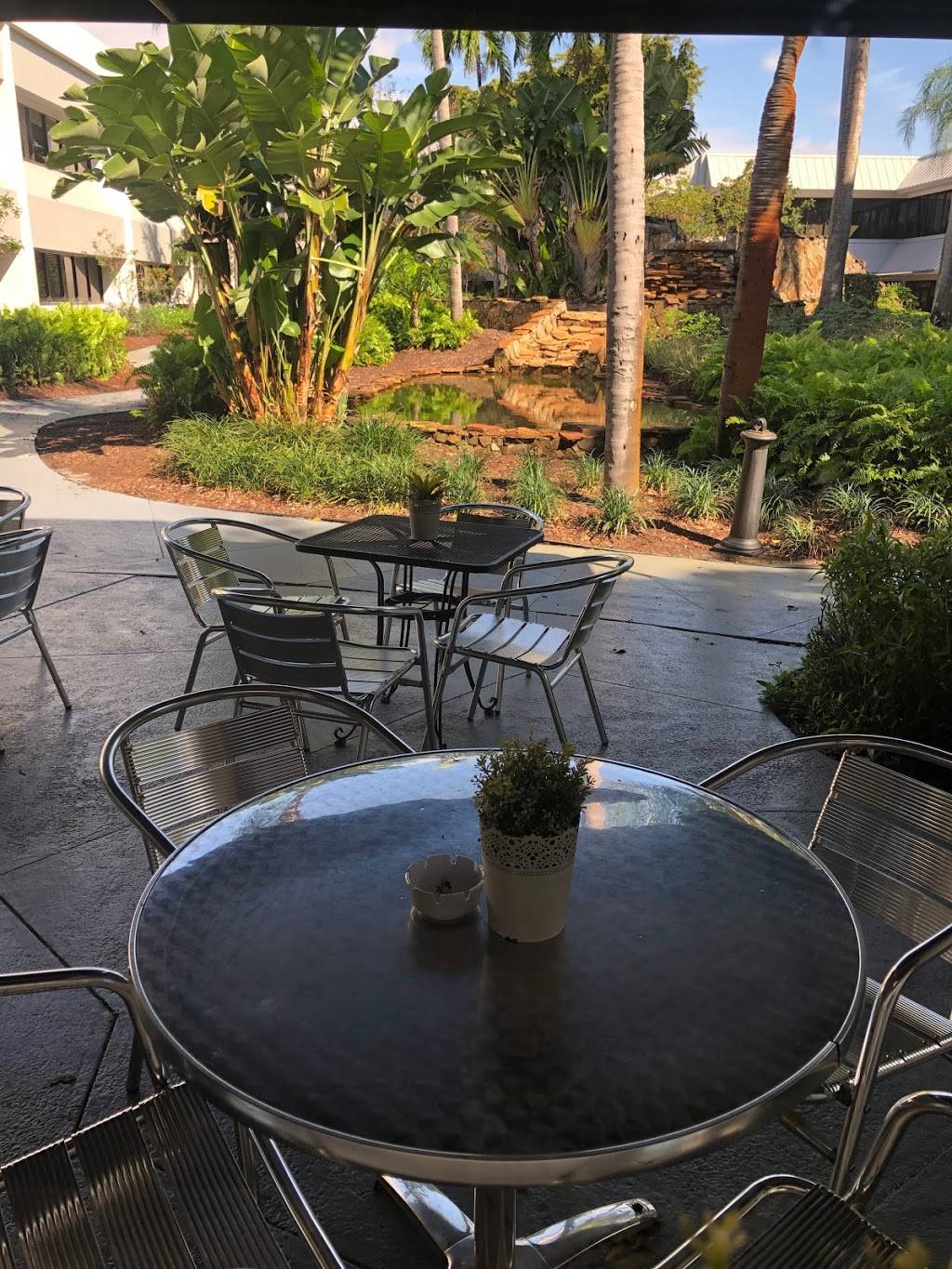 Lemon Cafe | meal delivery | 700 W Hillsboro Blvd, Deerfield Beach, FL 33441, USA | 9544809847 OR +1 954-480-9847