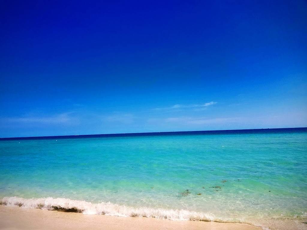 Subway | restaurant | 7415 Collins Ave, Miami Beach, FL 33141, USA | 3058645757 OR +1 305-864-5757