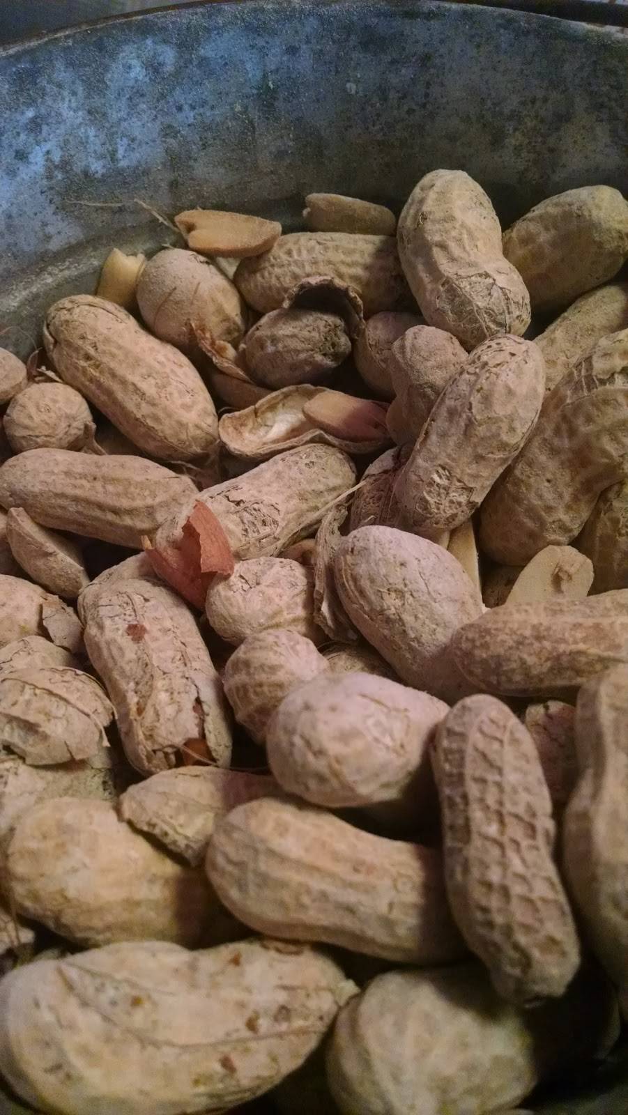 Texas Roadhouse | restaurant | 230 Hendersonville Rd, Asheville, NC 28803, USA | 8282744311 OR +1 828-274-4311