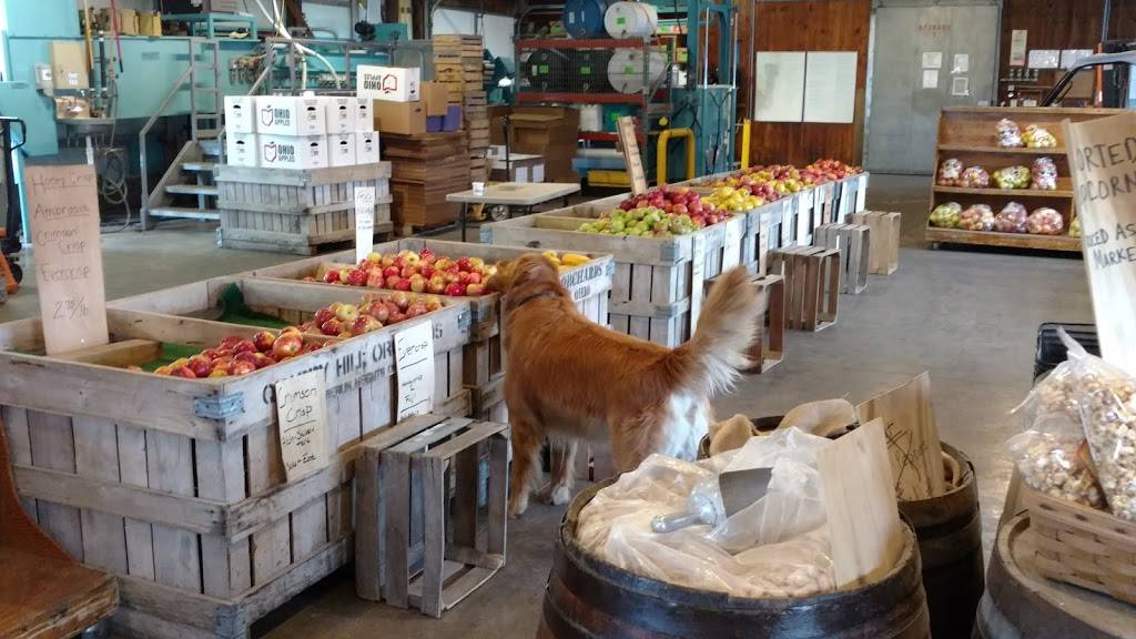 Arbys | restaurant | 5235 Detroit Rd, Sheffield, OH 44054, USA | 4409343075 OR +1 440-934-3075